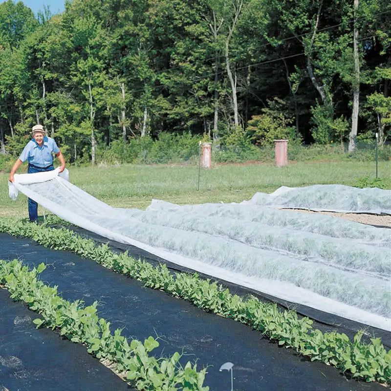 Fall Crops Need Protection Before They Start