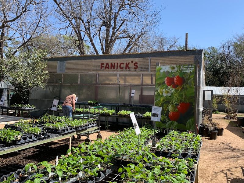 Fanick's Garden Center - San Antonio