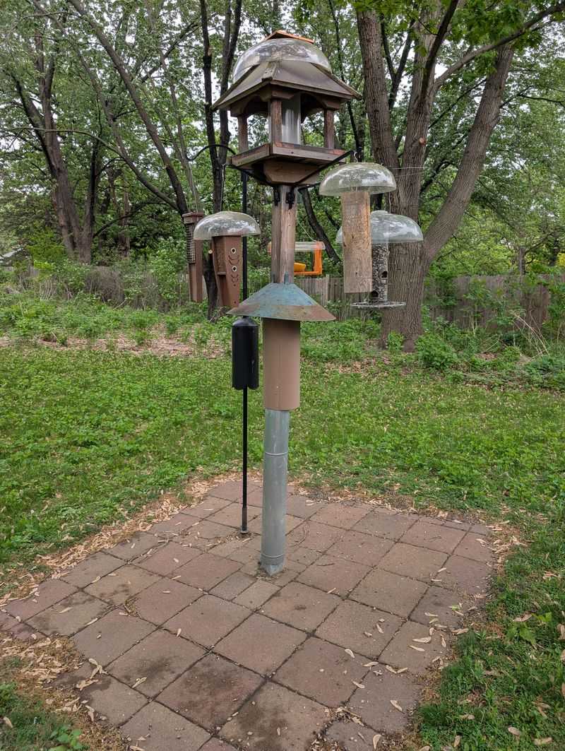 Feeder Placement Works Best With A Bigger Tick Smart Yard Plan