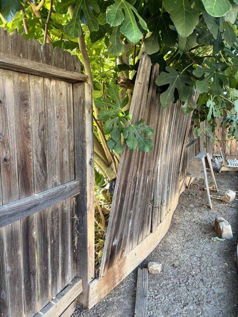 Fence Ownership Matters More Than Most People Think Fence Ownership Matters More Than Most People Think