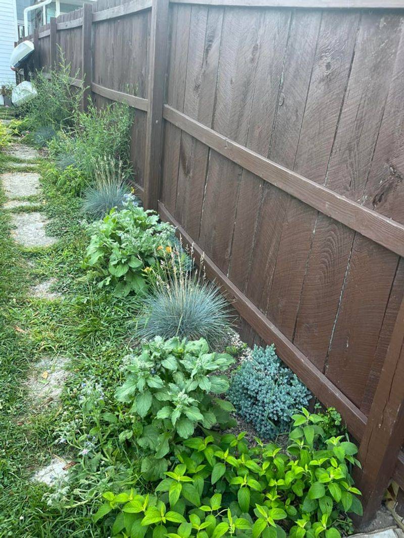 Fence The Plants Deer Choose First