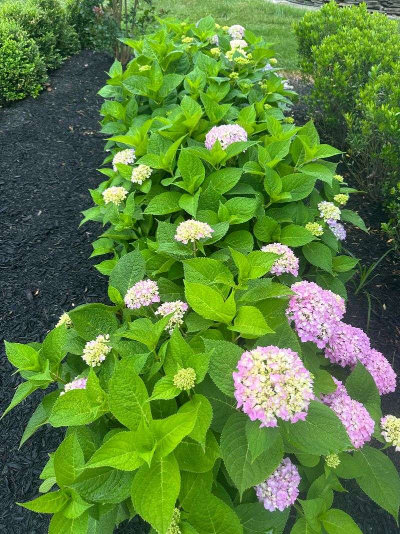 Fertilizer Stays More Sensible