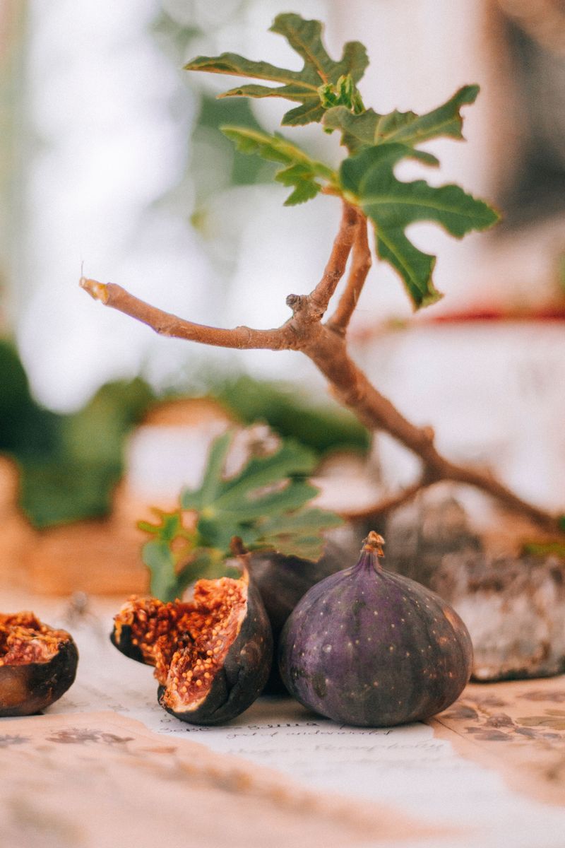 Figs