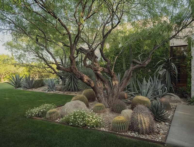 Filtered Light Helps Understory Plants Thrive