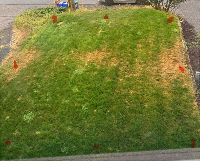 Find Dry Zones While There Is Still Time Find Dry Zones While There Is Still Time