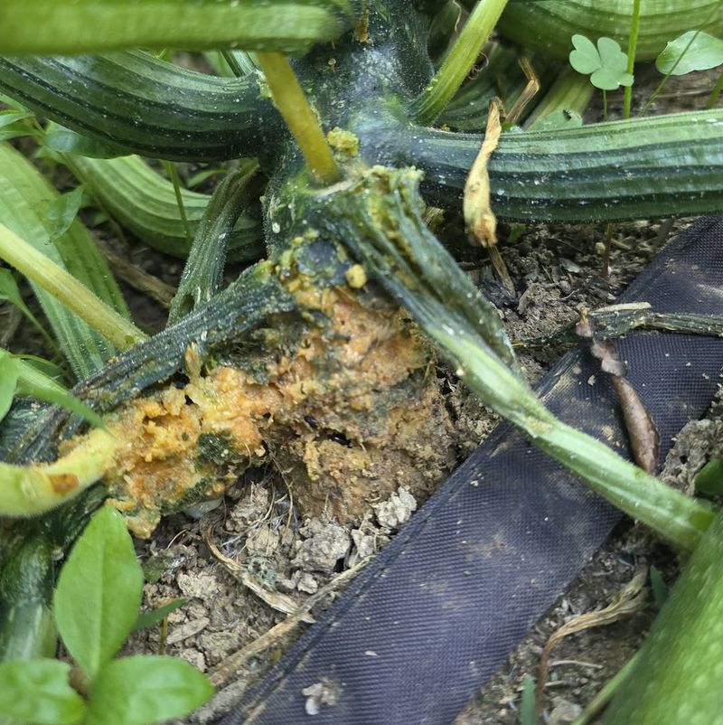 Finding The Damage Early Makes Treatment More Effective Finding The Damage Early Makes Treatment More Effective