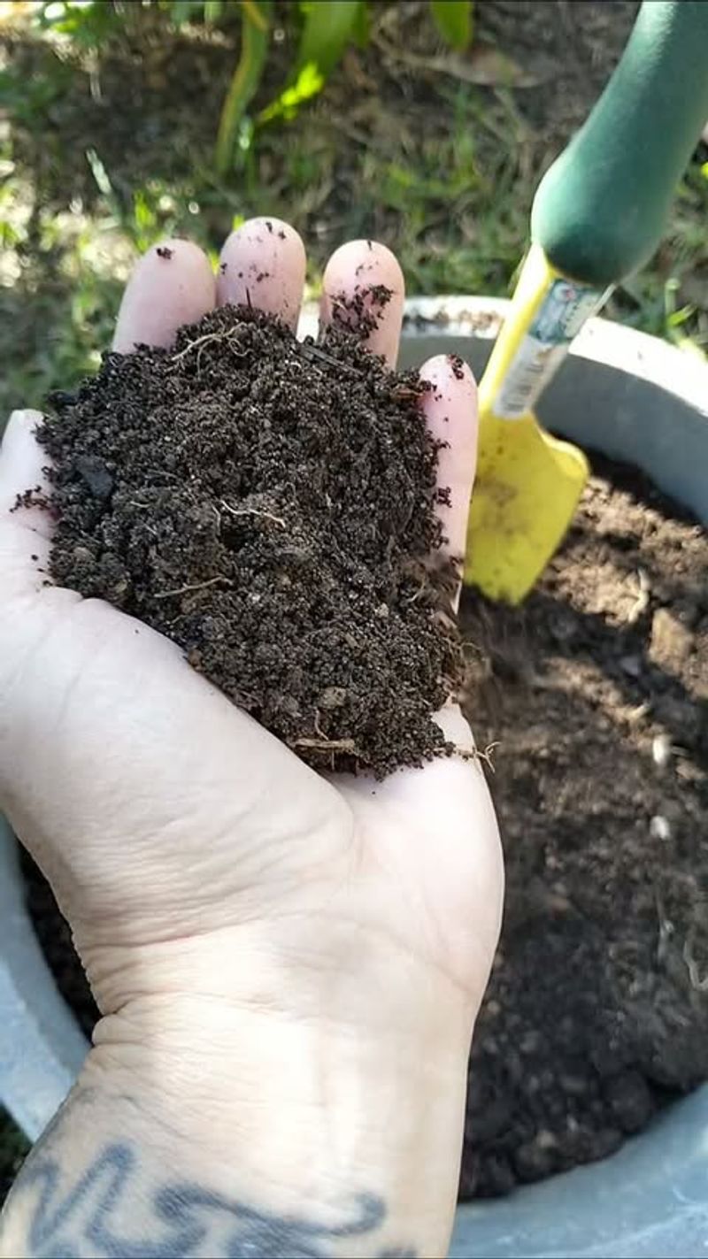 Finished Compost Finished Compost