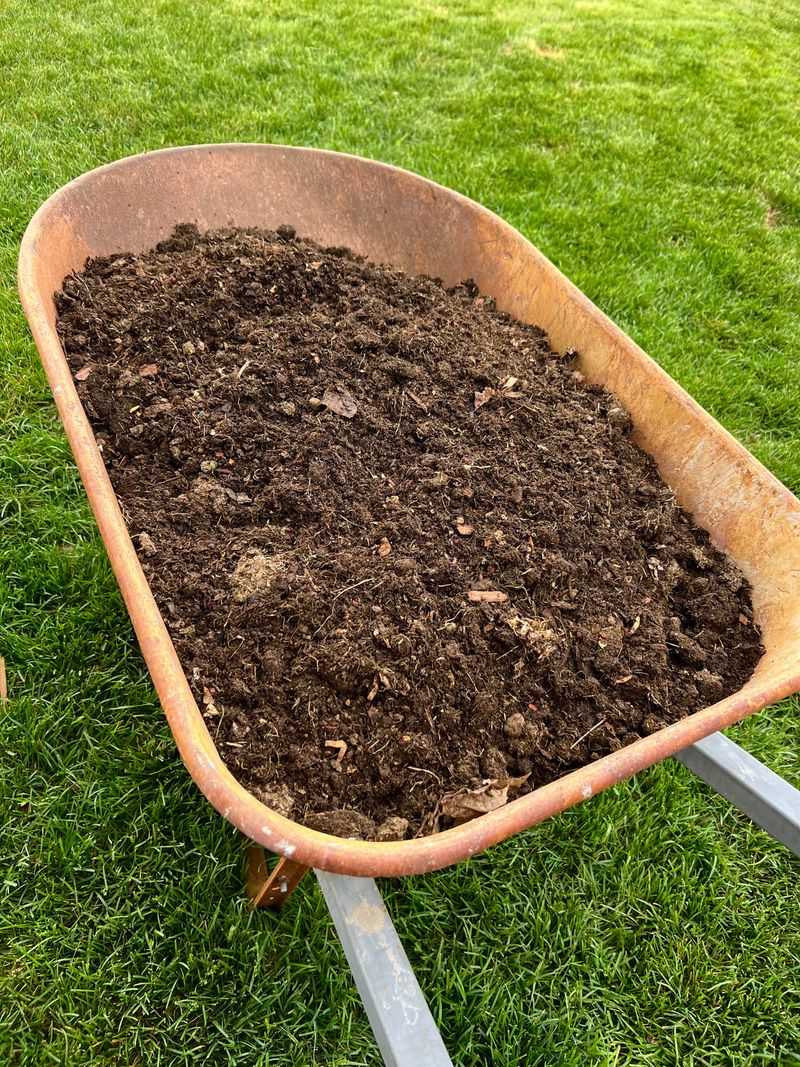 Finished Compost Makes Kitchen Scraps Useful Finished Compost Makes Kitchen Scraps Useful