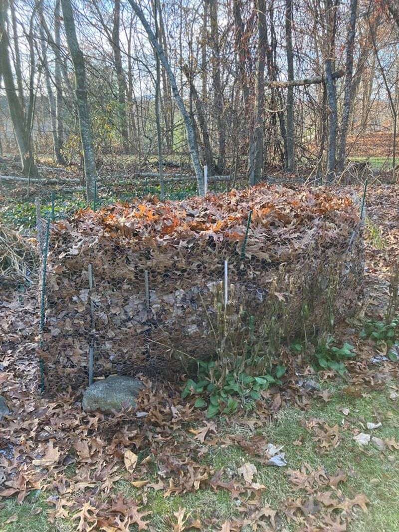 Finished Leaf Mold Holds Water Finished Leaf Mold Holds Water