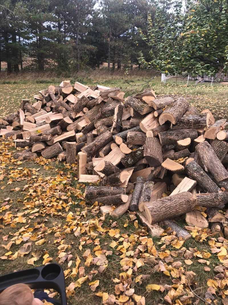 Firewood Piles Hold Hidden Moisture