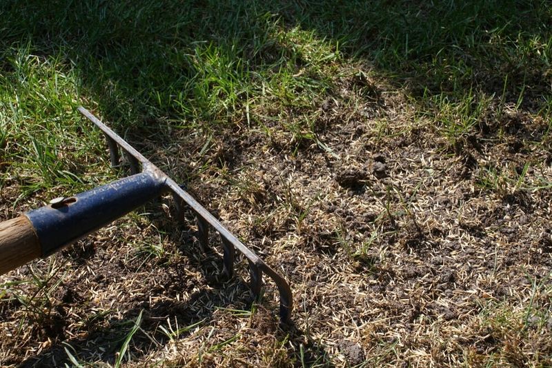 Fix Bare Soil Before Broadcasting Anything Fix Bare Soil Before Broadcasting Anything