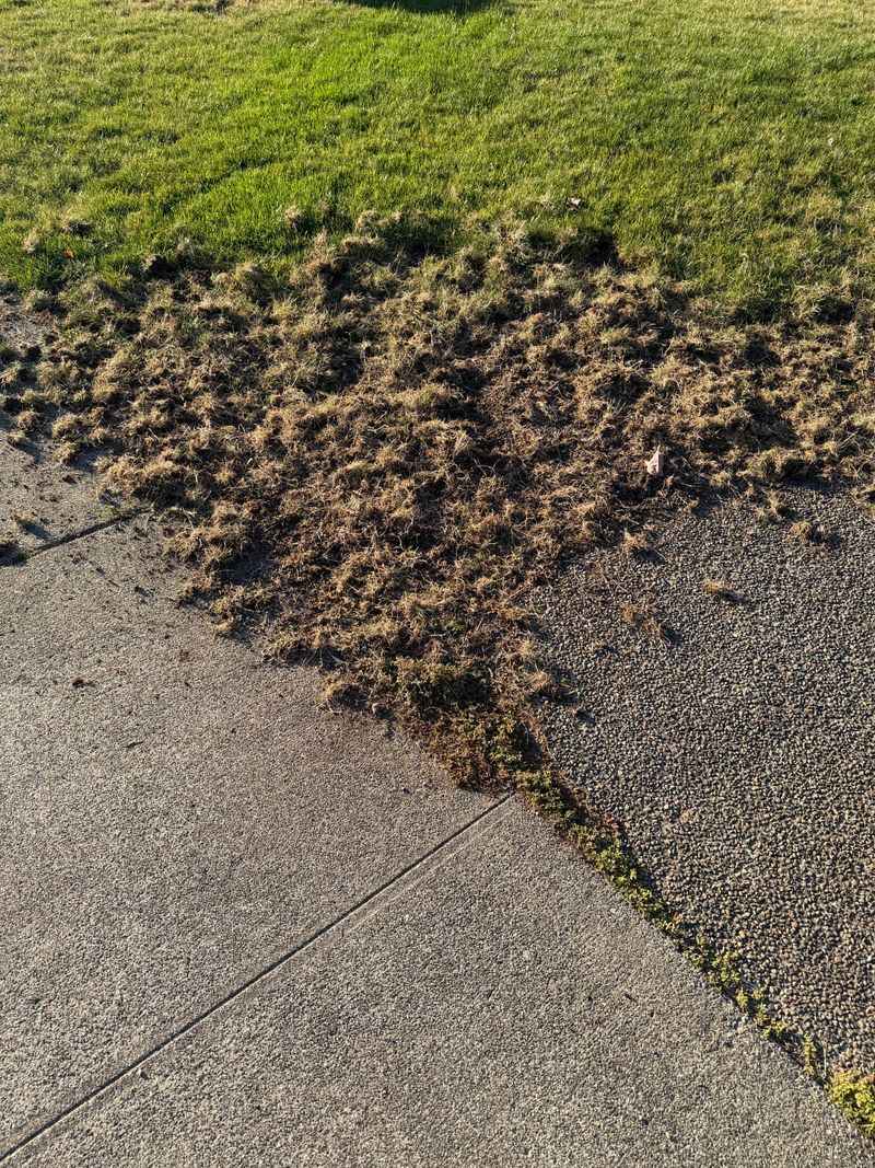 Fix The Turf Instead Of Recruiting Wildlife