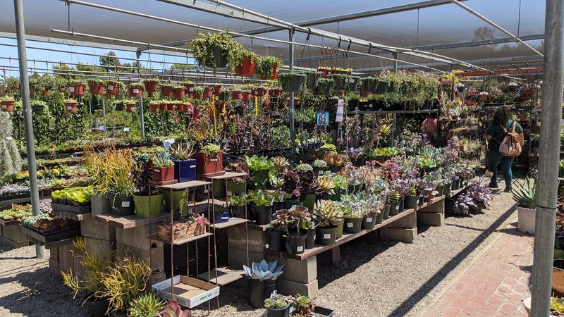 Flora Grubb Gardens — Los Angeles
