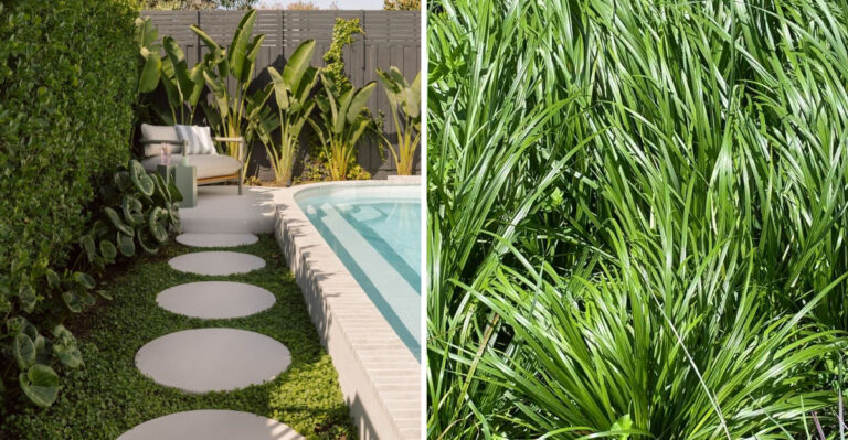 Florida Homeowners Are Replacing Pool Deck Grass With This And Never Looking Back