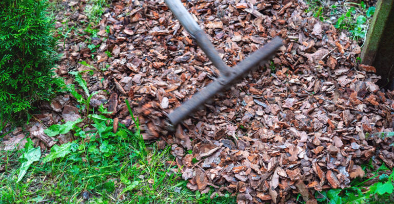 mulch