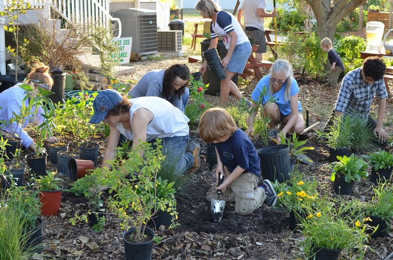 Florida Native Plants Nursery In Sarasota Builds Butterfly Gardens The Native Way Florida Native Plants Nursery In Sarasota Builds Butterfly Gardens The Native Way