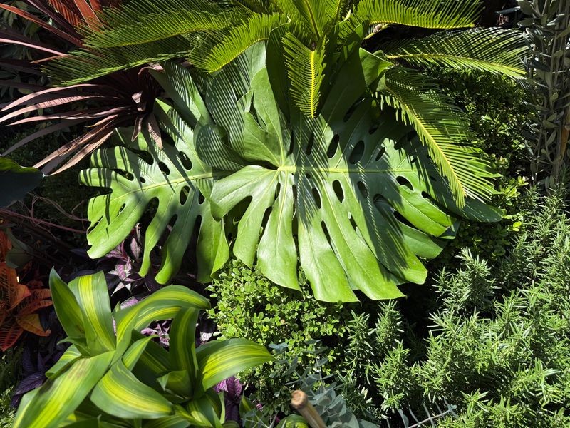 Florida's Climate Rewards Smart Plant Choices