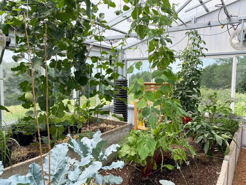 Follow Oregon's Seasonal Garden Calendar