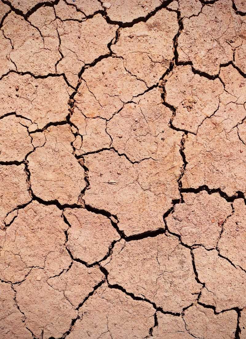 Follow The Cycle And Soak Method For Clay Soil