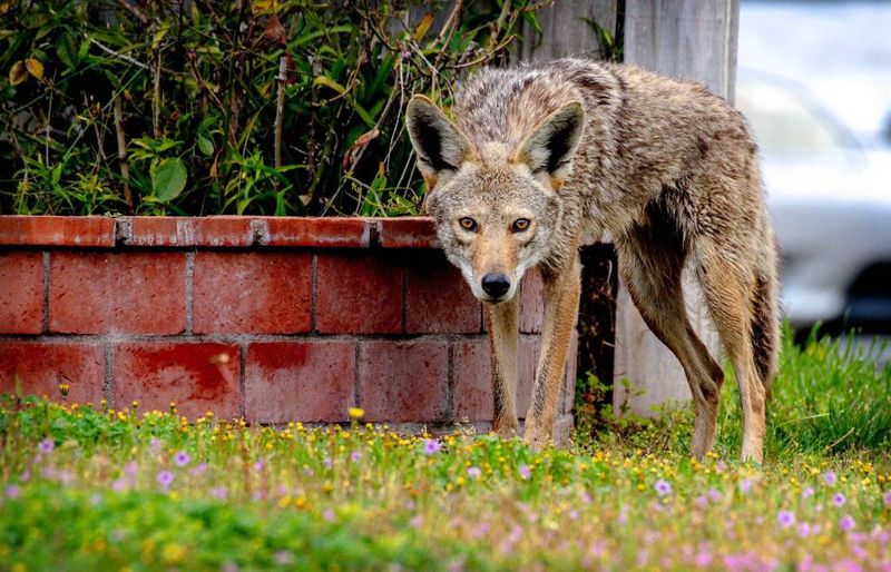 Food Is Nearby