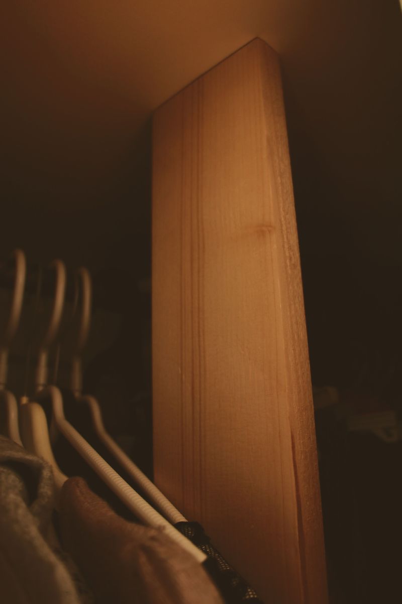 Found In Undisturbed Corners And Closets Found In Undisturbed Corners And Closets