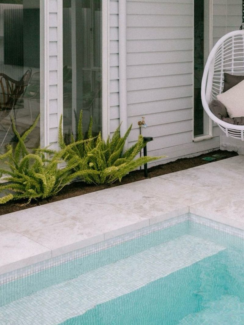 Foxtail Fern Brings Soft Texture Without Fuss Foxtail Fern Brings Soft Texture Without Fuss
