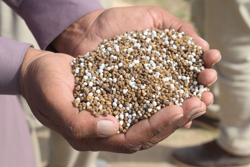 Fresh Fertilizer To Replace Leached Nutrients