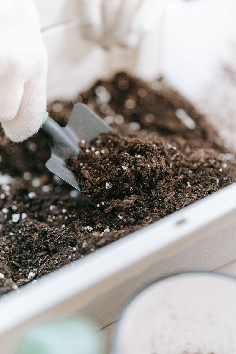 Fresh Soil To Improve Drainage