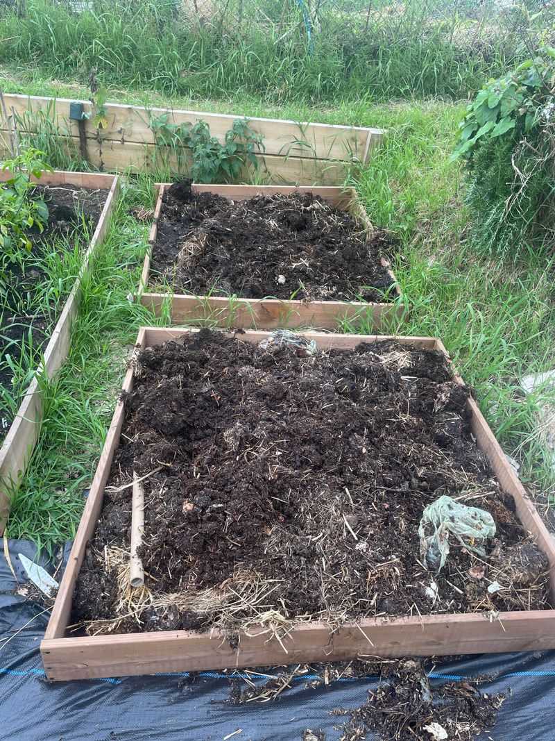 Fresh Uncomposted Animal Manure Is The Amendment To Avoid Fresh Uncomposted Animal Manure Is The Amendment To Avoid