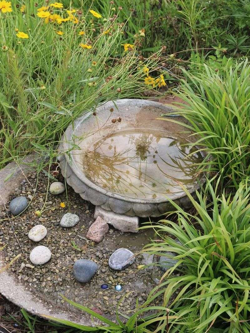 Fresh Water Can Bring More Wildlife Fresh Water Can Bring More Wildlife
