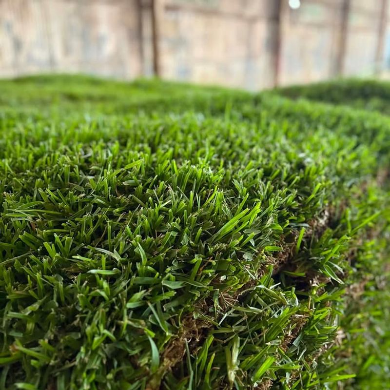 Freshly Watered Lawns Freshly Watered Lawns