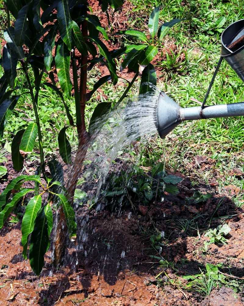 Fruit-Heavy Branches Need Steady Moisture Fruit-Heavy Branches Need Steady Moisture