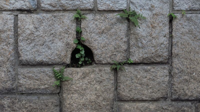 Gaps In Brick, Stone, And Retaining Walls