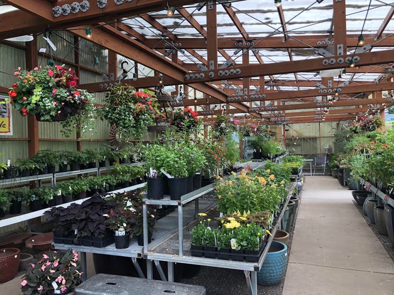 Garden Fever Has More Natives Than You’d Expect Garden Fever Has More Natives Than You’d Expect