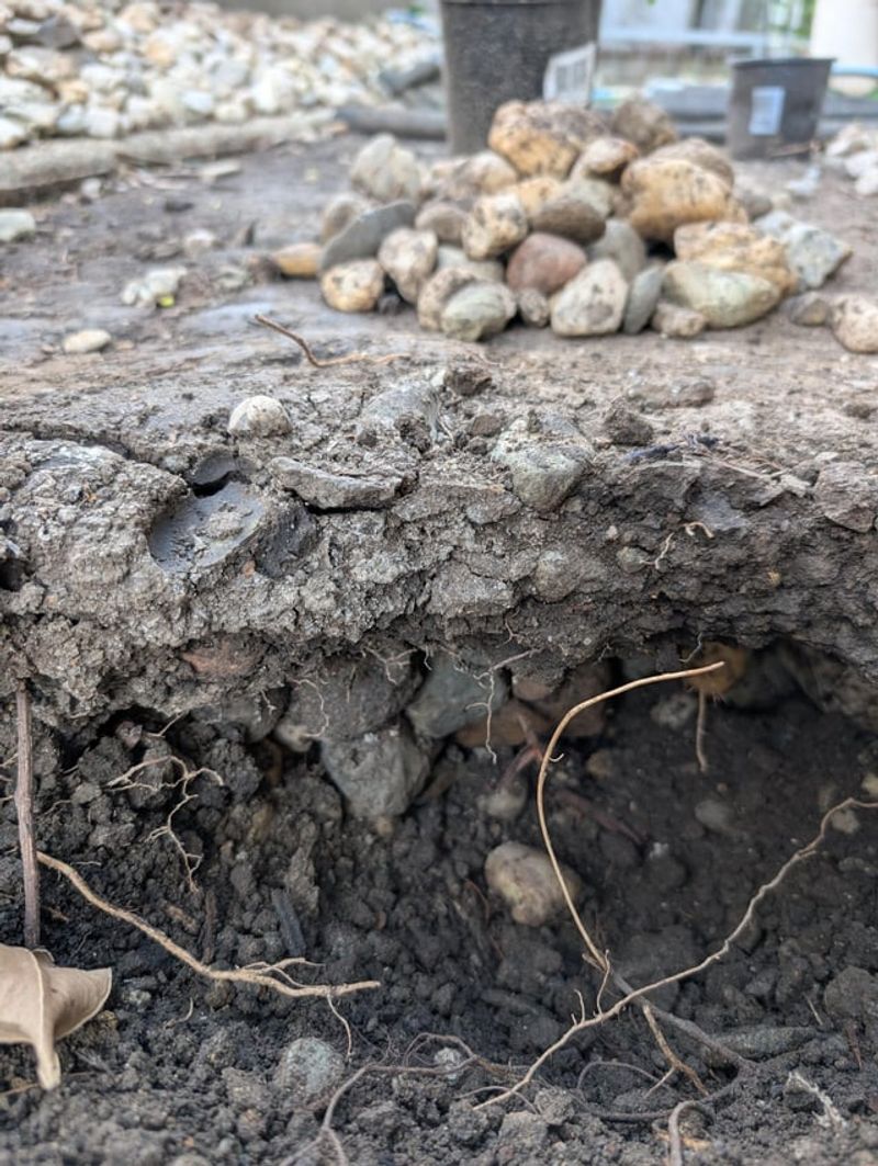 Garden Gypsum Works Fast To Loosen Compacted Ground Garden Gypsum Works Fast To Loosen Compacted Ground