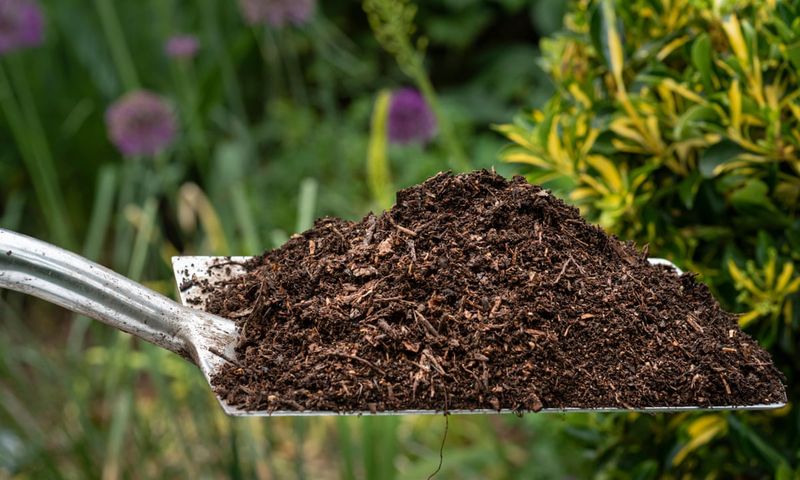 Garden Soil Belongs In The Ground, Not Pots Garden Soil Belongs In The Ground, Not Pots