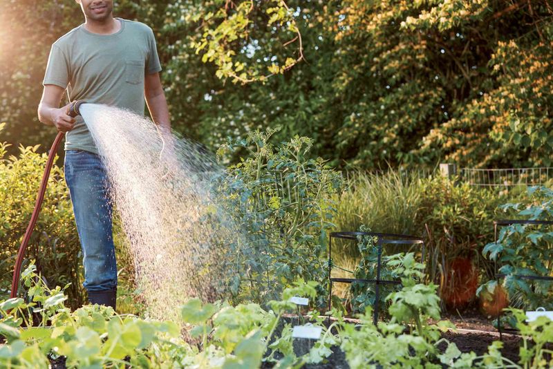Gardeners Are Working During The Hottest Hours Gardeners Are Working During The Hottest Hours