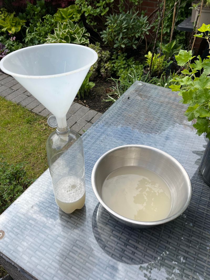 Garlic Spray Near Bulbs And Seedlings