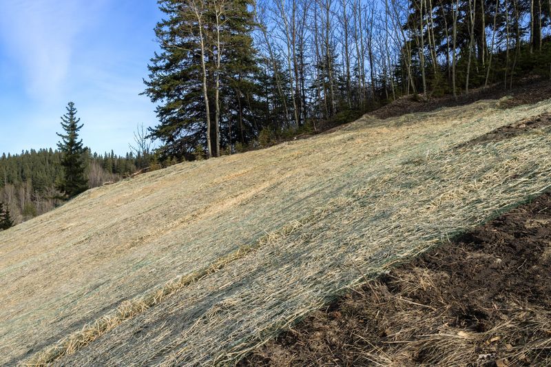 Gentle Slopes Slow The Rush Gentle Slopes Slow The Rush
