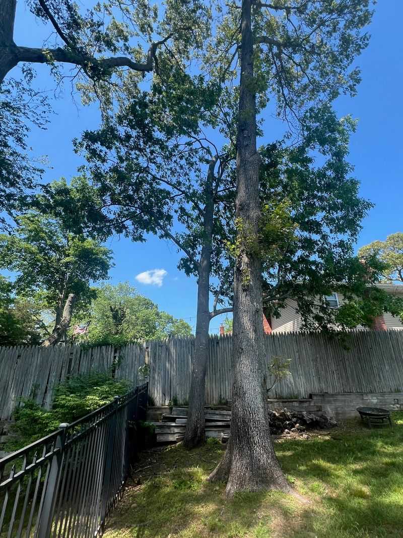 Get Neighbor Approval Before Removal Begins