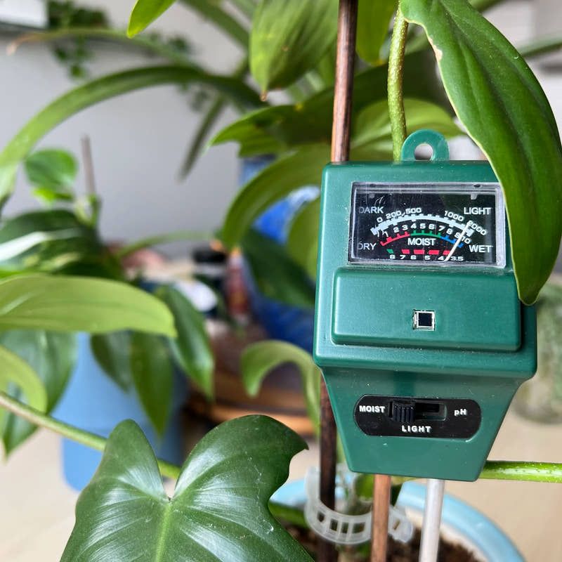 Give Containers A Separate Moisture Check Give Containers A Separate Moisture Check