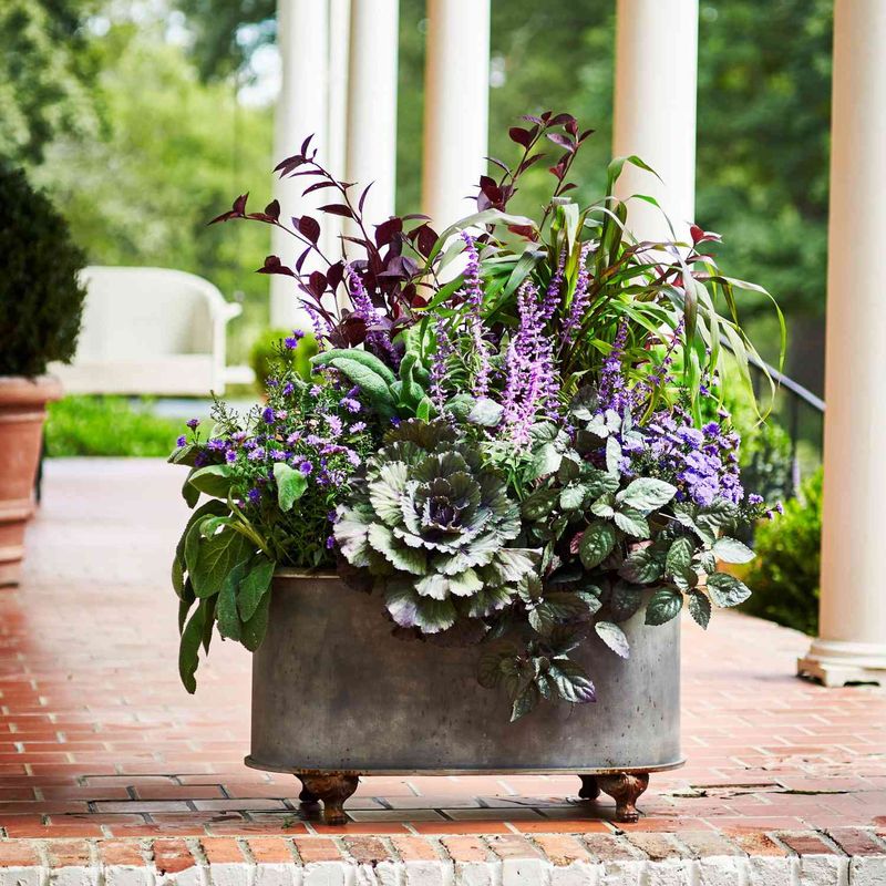 Give Containers Afternoon Shade During Extreme Heat Give Containers Afternoon Shade During Extreme Heat