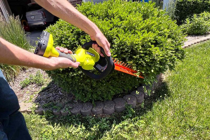 Give Hedges Only Small Touch-Ups