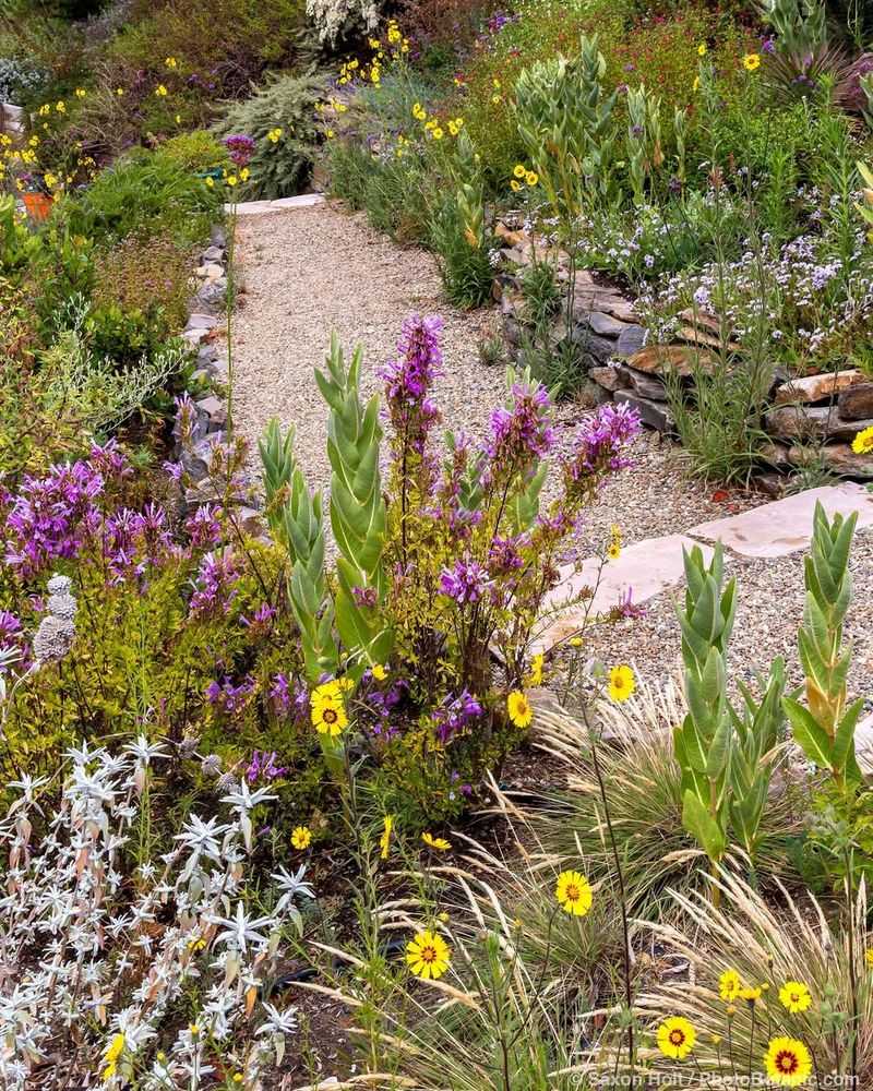 Give Late-Summer Additions Time To Root