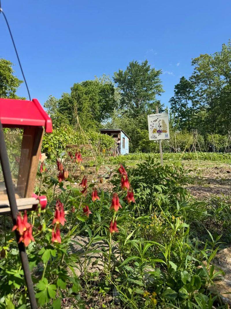 Go Native Tree Farm - Manheim Go Native Tree Farm - Manheim