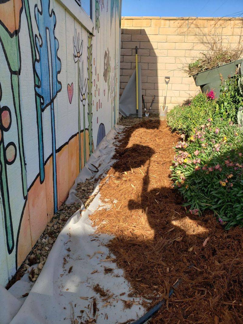 Gorilla Hair Mulch Is The Risky Choice Gorilla Hair Mulch Is The Risky Choice
