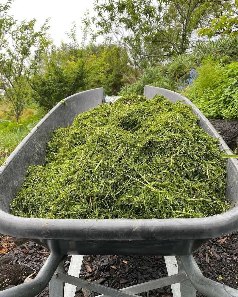 Grass Clippings Are The Nitrogen Boost Ohio Compost Piles Need Right Now