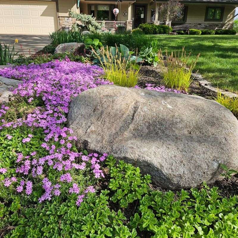 Ground Covers Hold Soil In Place On Slopes