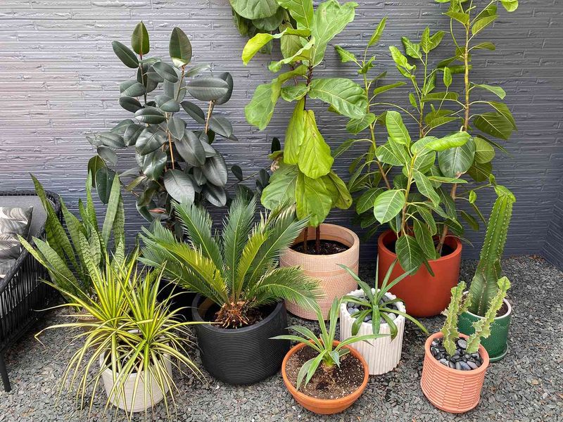 Group Containers To Hold Humidity