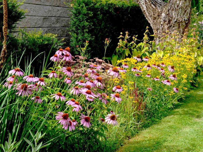 Group Plants By Water Needs Group Plants By Water Needs